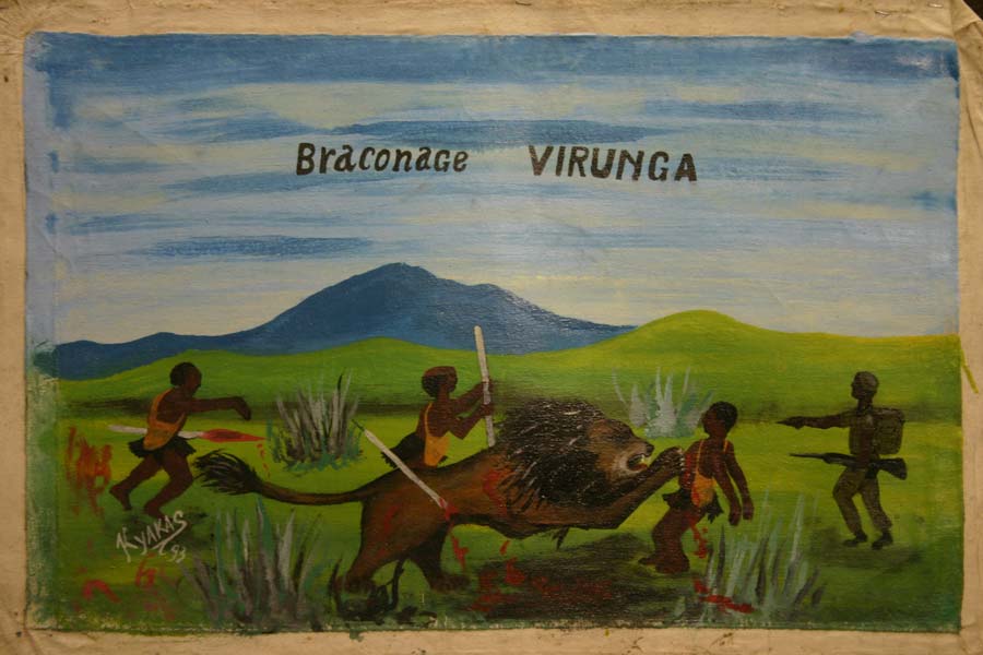 Braconnage Virunga